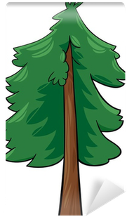Cartoon Illustration Of Conifer Tree Wall Mural • Pixers® - Cartoon Pine Tree (400x400)