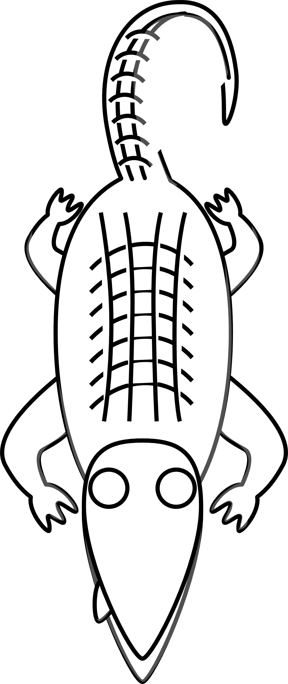 Related For Alligator Black And White Clipart - Crocdile Head Clipart Black And White (999x2370)