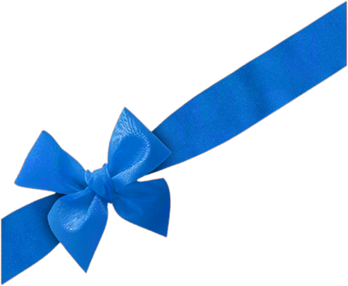 Download Png Image Report - Png Blue Ribbon Png (492x404)