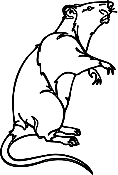 Rat Clipart - Dead Rat Black And White (402x594)