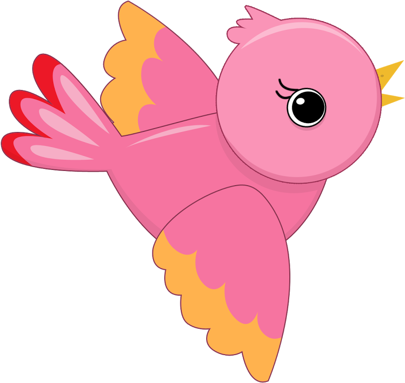 B *✿* De Duda Cavalcanti - Passarinhos (865x865)