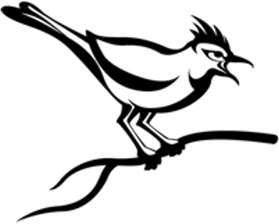 Cuckoo Sandbox - Cuckoo Sandbox Logo (400x400)