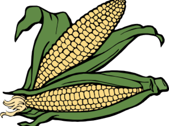 Corn Clipart Farmville - Corn Clip Art (728x567)