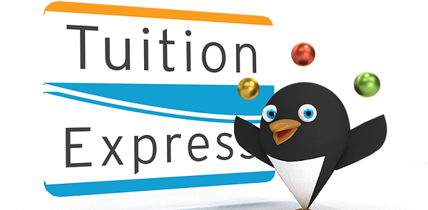 Tuition Express Is The Most Efficient And Safest Way - Tuition Express (600x295)