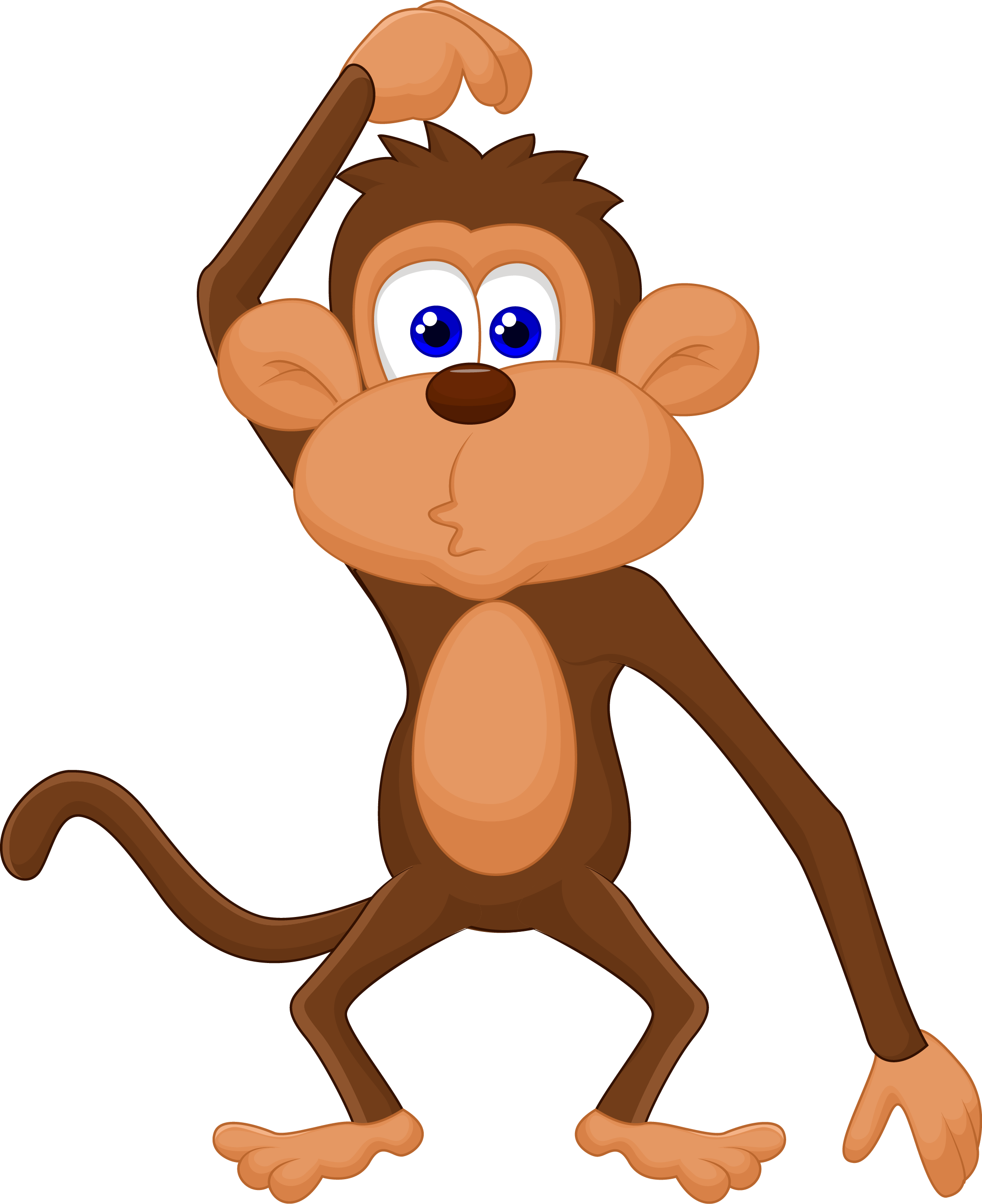 Monkey