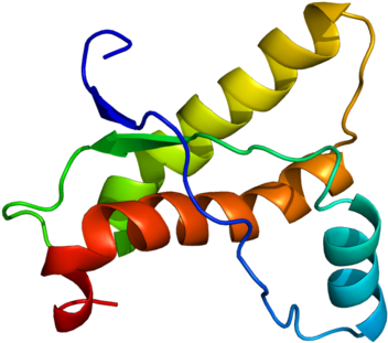 Answer Wiki - Prion Png (375x334)