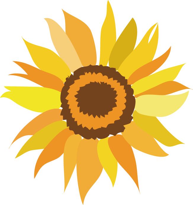 Zenfone 3 Ze520kl Common Sunflower Clip Art - Sunflower Vector Free (652x692)