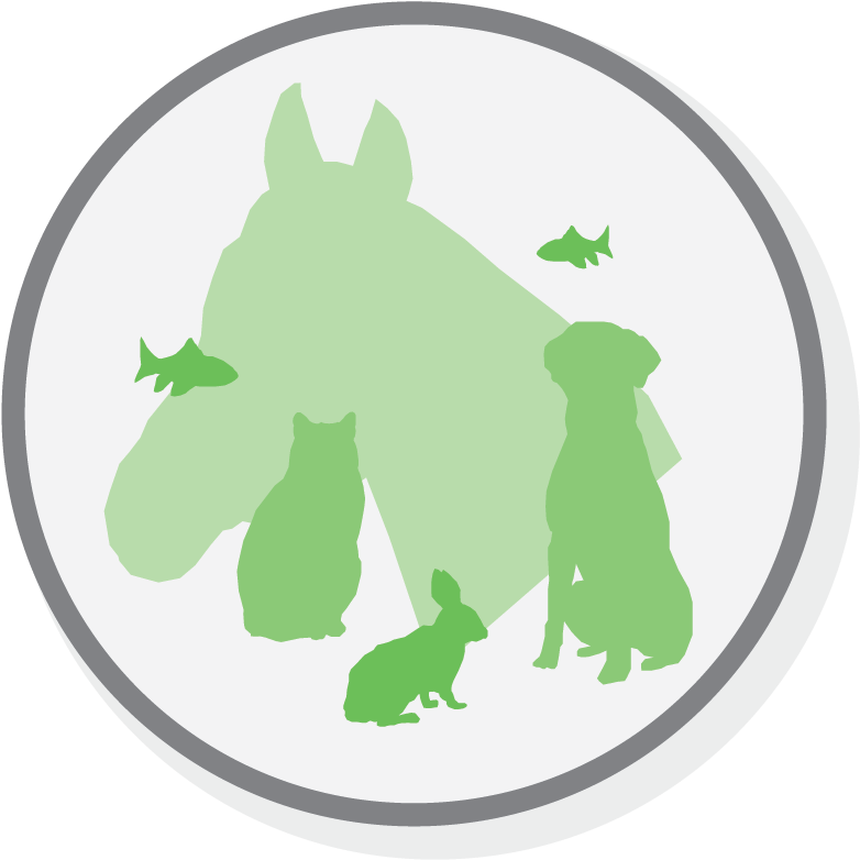 5 Pet Dental Health Facts For Pet Dental Health Month - Icon (797x795)