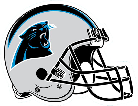 Patriots - Detroit Lions 8 Car Magnet (600x436)