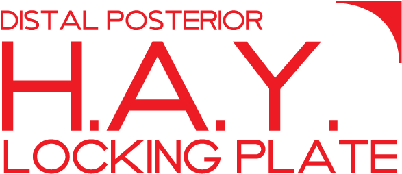 Parallel Locking Screws Design In Purchase Articular - Open Stage Alpsray (590x288)