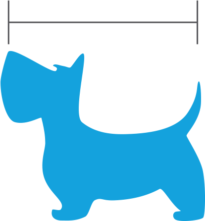 Nose To Tail Exam - Alt Attribute (432x445)