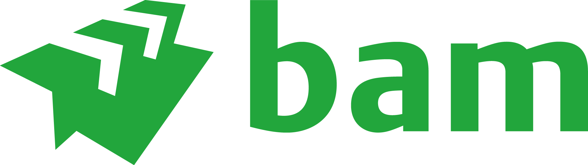 Bam Construction Logo (1986x560)