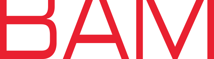 Stories Shape The World - Bam Communications Logo (730x203)