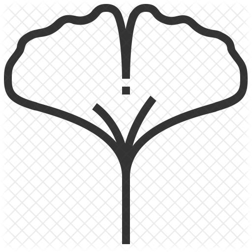 Ginkgo Icon - Maidenhair Tree (512x512)