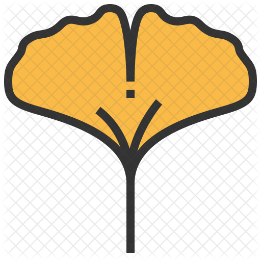Ginkgo Icon - Ginkgo Icon (512x512)