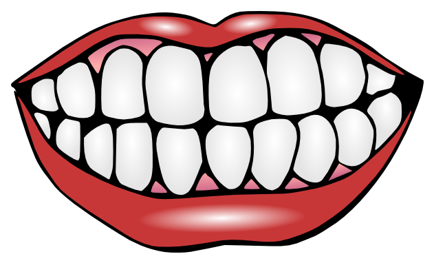Services - Cartoon Image Of Teeth (700x450)