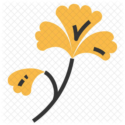 Ginkgo Icon - Maidenhair Tree (512x512)