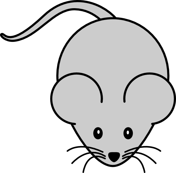 Mouse Transparent (600x591)