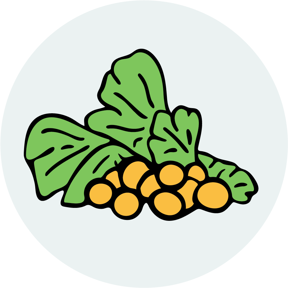 Image Description - Image Description (1042x1042)