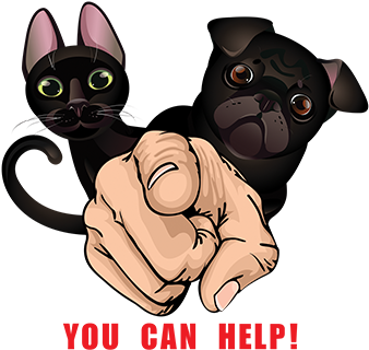 It Is A Brutal Trade That Involves Immense Animal Cruelty - Finger Pointing At You (400x396)