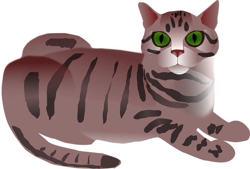 Tabby Cat Clipart Eating - Clip Art Tabby Cat (960x649)