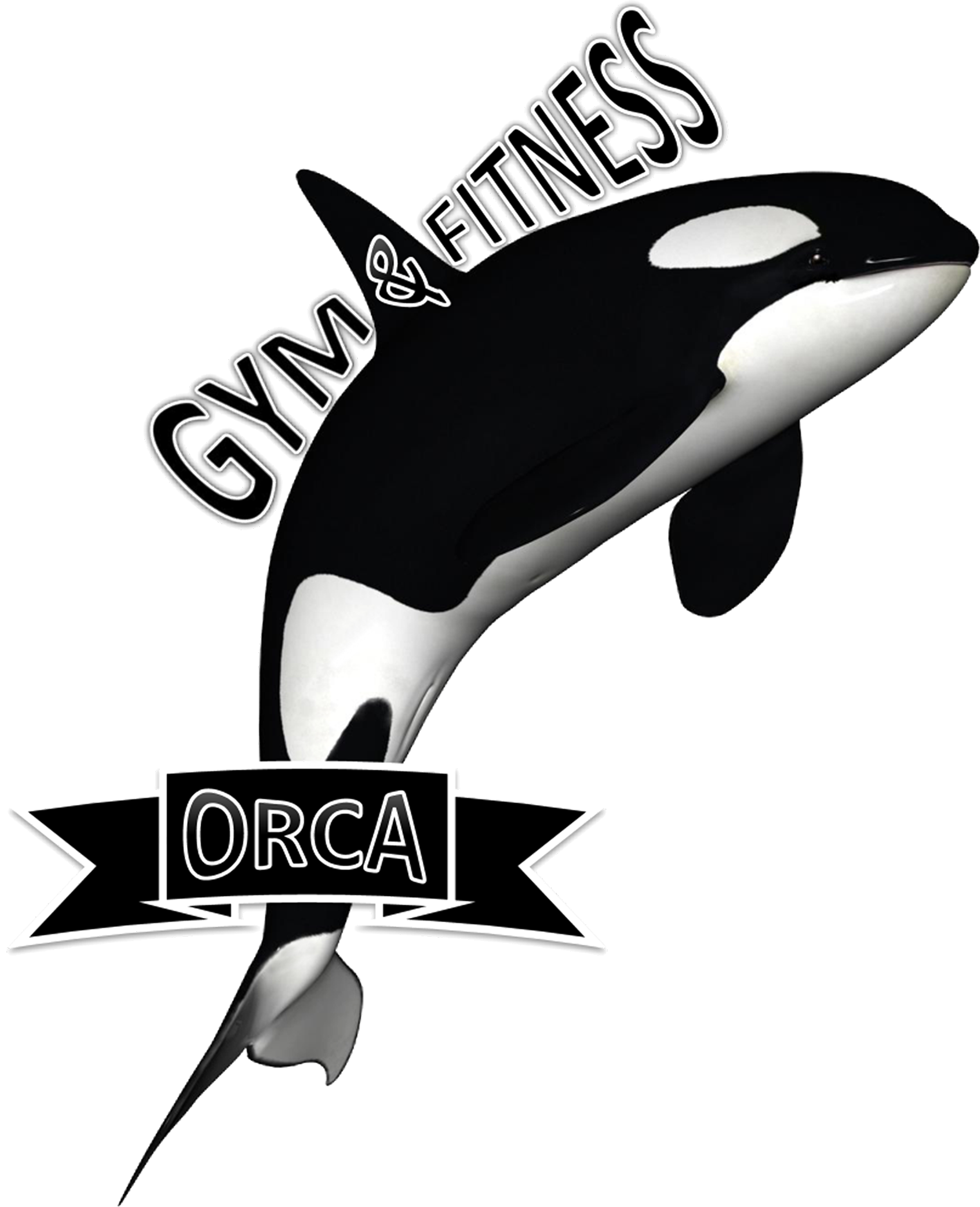 Orca Png (3936x4847)