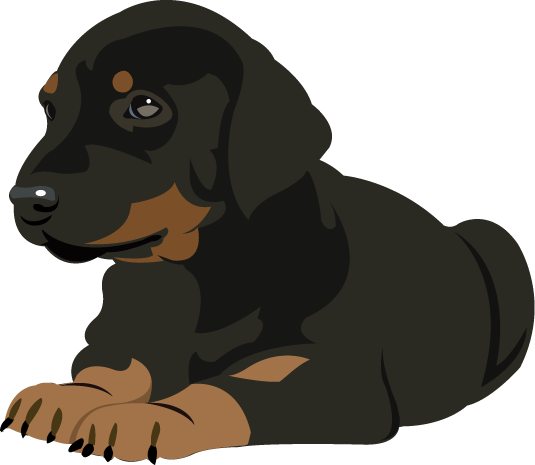 Doberman Clip Art - Doberman Clipart (535x465)