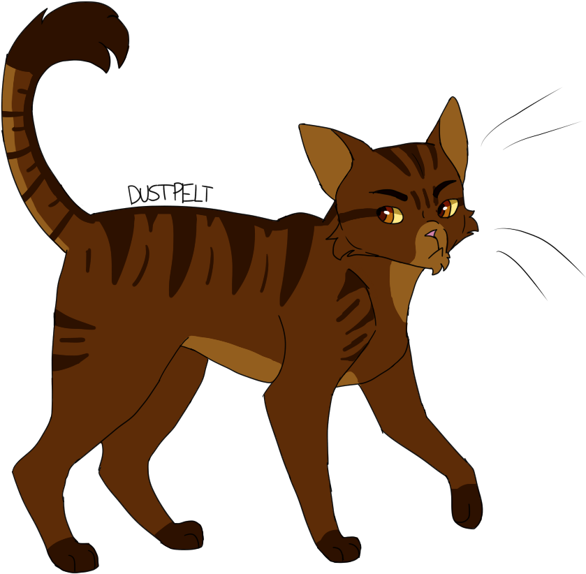 Dustpelt Thunderclan Warriors A Lot Of Cats - Thunderclan (904x828)