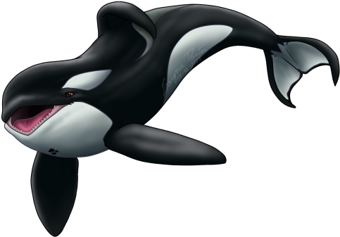 Yo Friends, Here's A Transparent Keiko To You All, - Whale Transparent Background (500x350)