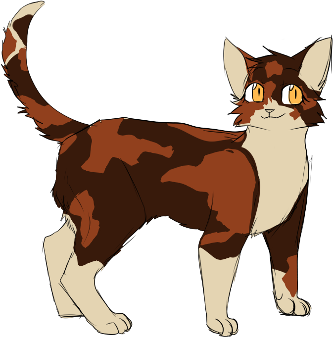 Spottedpaw Spottedleaf Warriors Warrior Cats Spottedleaf's - Warriors (839x720)