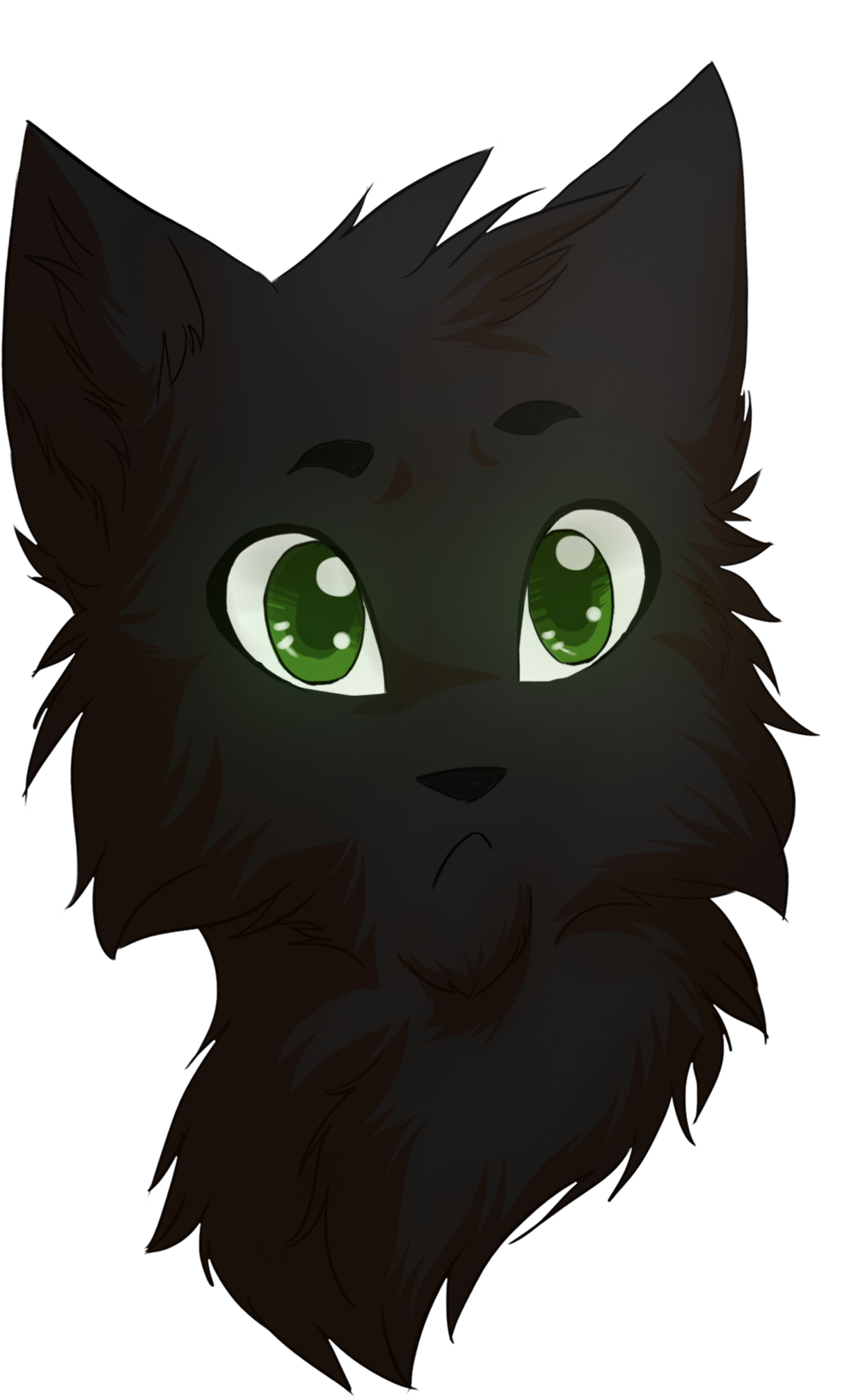 Fisheye By Riverspirit456 Fisheye By Riverspirit456 - Cat (1024x1687)