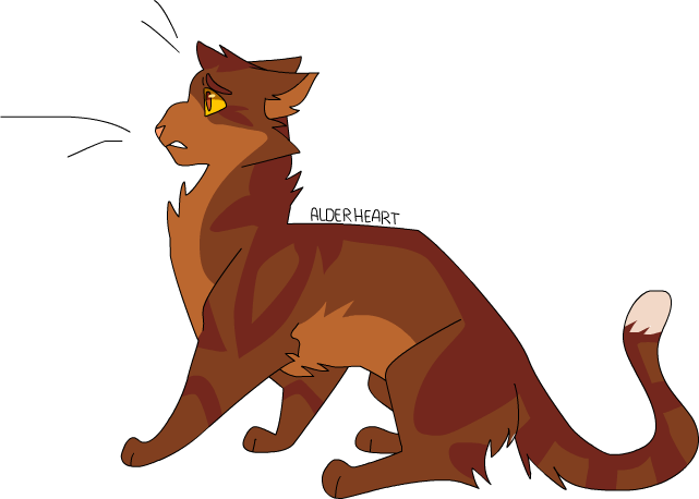 Warrior Cats Wc Alderheart Thunderclan - Warrior Cats Alderheart (641x458)