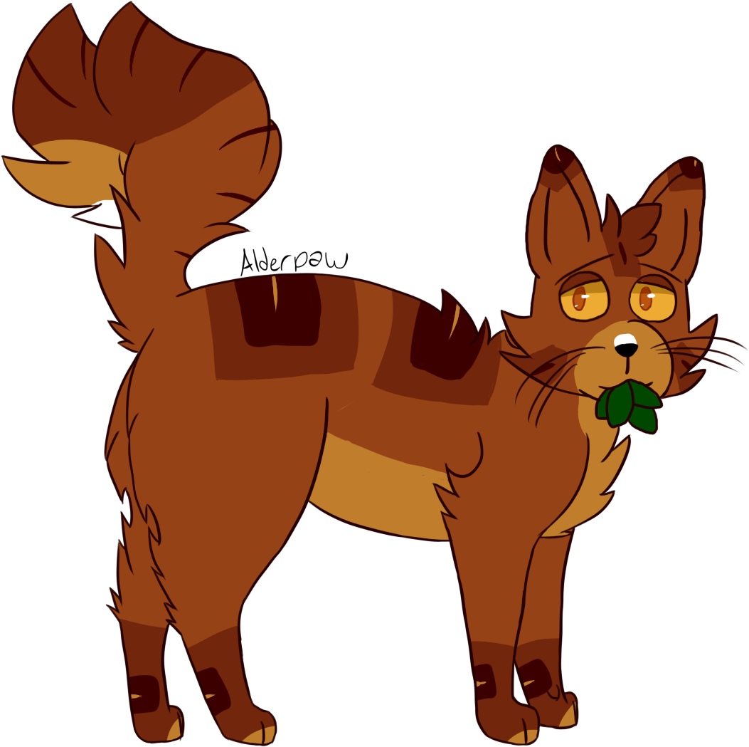 Poor Baby Alderpaw Thunderclan Warriors Warrior Cats - Cat (1100x1100)