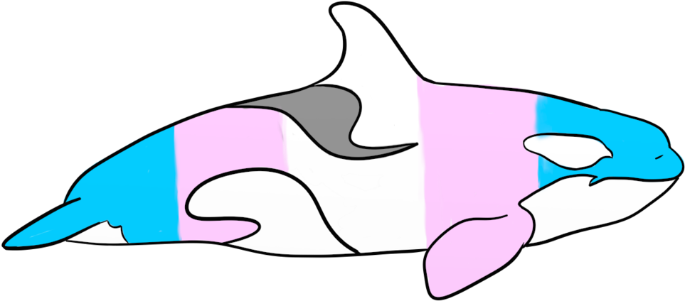 Pride Whales Transgender By Aleksi Ann - Pride Whales Transgender By Aleksi Ann (1024x546)
