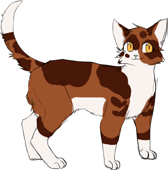 Spottedpaw Spottedleaf Warriors Warrior Cats Spottedleaf's - Warriors (839x720)