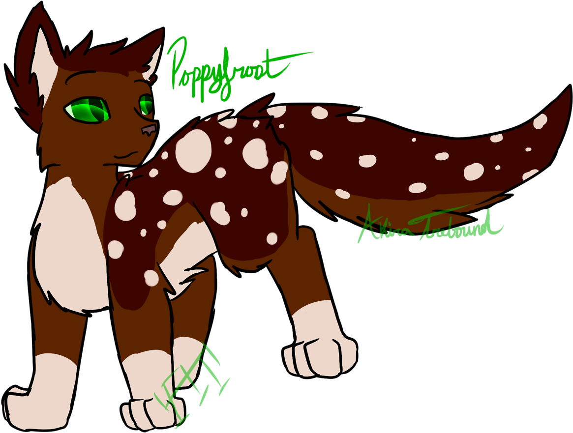 Poppyfrost Warrior Warrior Cats Thunderclan - Tumblr (1280x968)