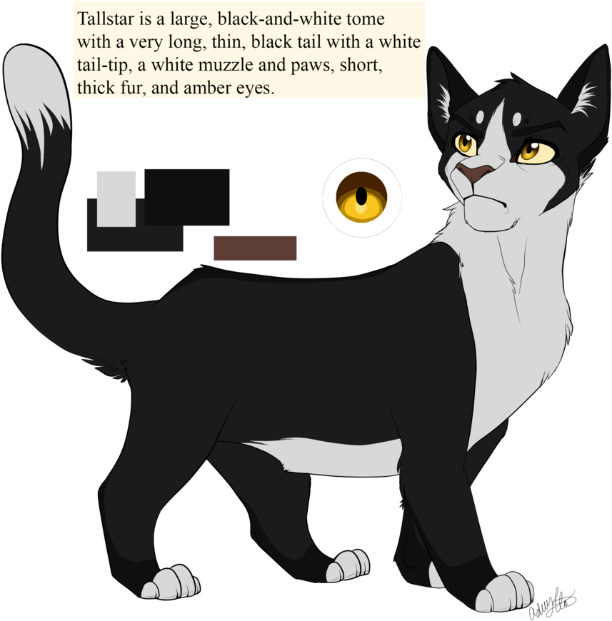 Tallstar By Purespiritflower - Warriors (894x894)