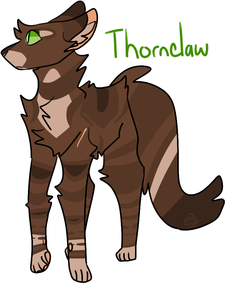 Thornclaw Thunderclan Thistleeteethe - Thunderclan (1000x1200)