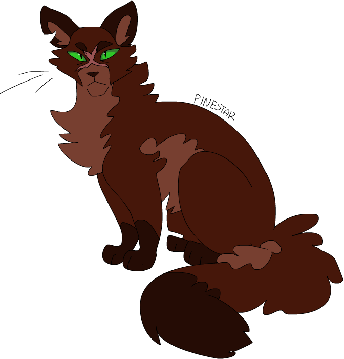 Warrior Cats Pinestar Redraw Thunderclan Big Daddy - Quiet Rain Warrior Cats (672x700)