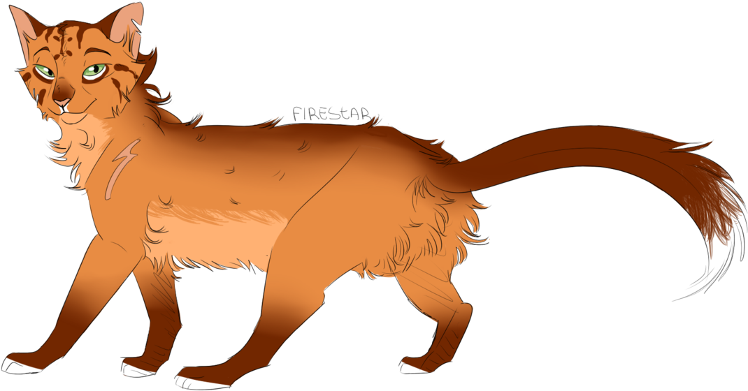 Blackstar Firestar Bluestar Tallstar Thunder Clan Shadowclan - Firestar (1280x720)