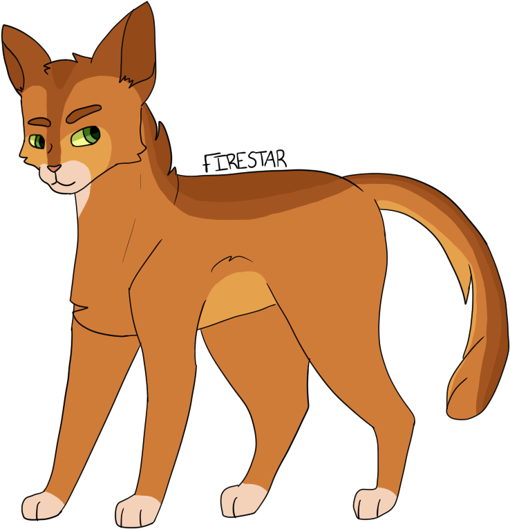 Firestar Warriors Leader Thunderclan Redraw A Lot Of - Thunderclan (795x810)