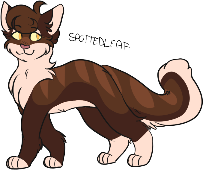 Medicine Cat Medicine Cat Apprentice Thunderclan Spottedleaf - Cartoon (1149x797)