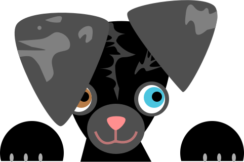 Daily Puppy - Window Treatment (482x320)