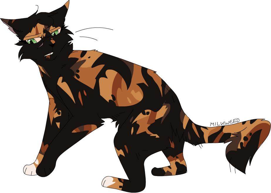 Milkweed Rogue The Early Settlers Thunderclan - Tiger (923x659)