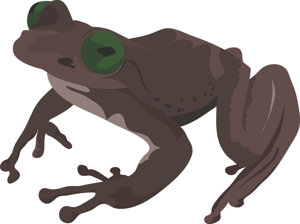 Frog Silhouette 25, Buy Clip Art - Amphibians (960x719)
