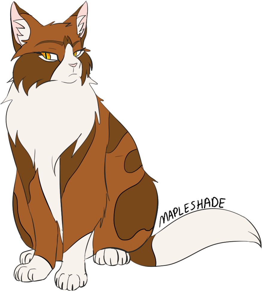 Mapleshade Maple Thunderclan Loner Rogue The Dark Forest - Mapleshade (958x1024)