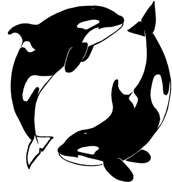 Orcatag - Drawing (674x720)