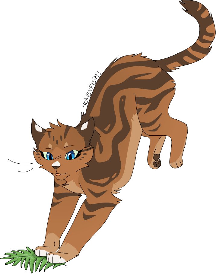 Honeyfern Thunderclan Starclan That Fern Looks Like - Illustration (716x909)