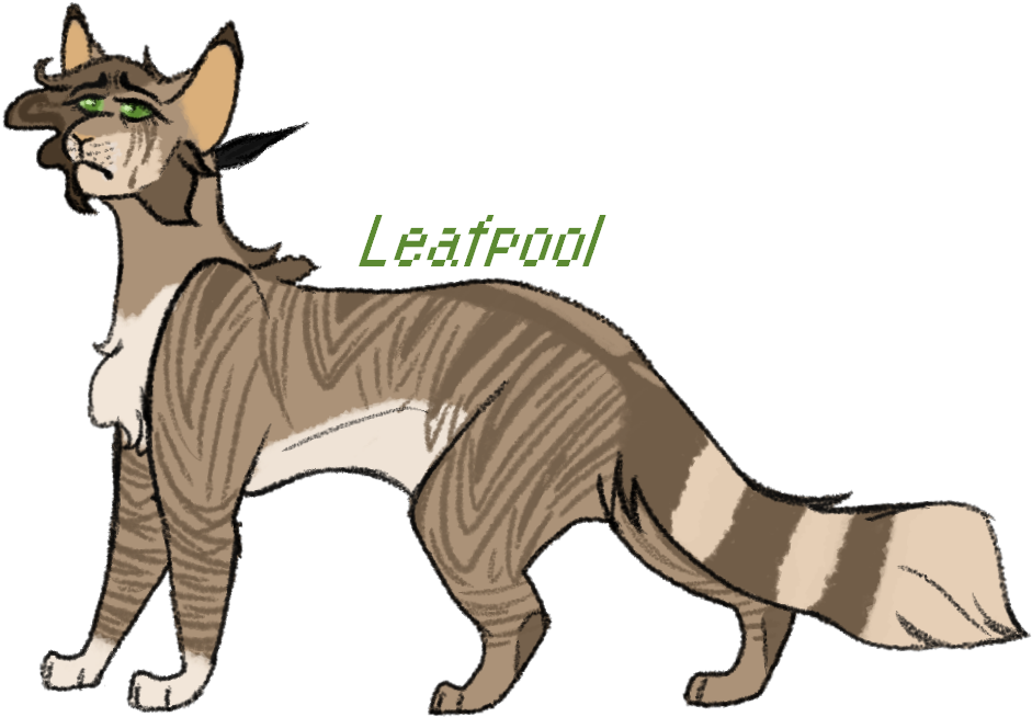 Doe Dies Warrior Cats Challenge Leafpool Design 7 Thunderclan - Puma (950x670)