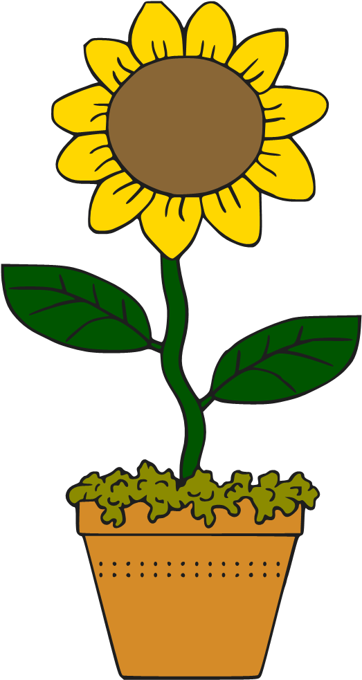 Common Sunflower Cartoon Drawing Clip Art - Sunflower Cartoon Png (544x1005)